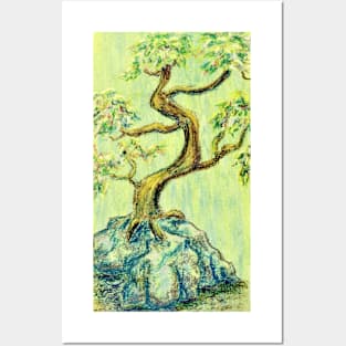 Gentle Bonsai Posters and Art